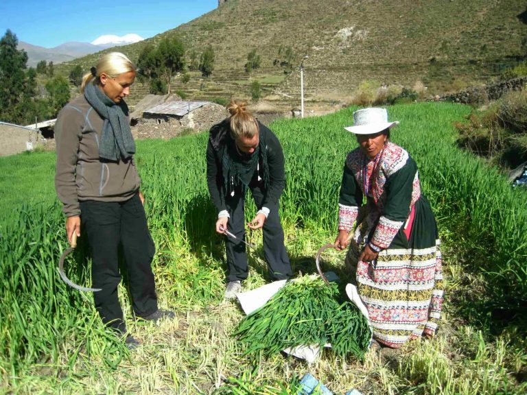 Colca Canyon Trekking 2 Days & Transfer to Puno