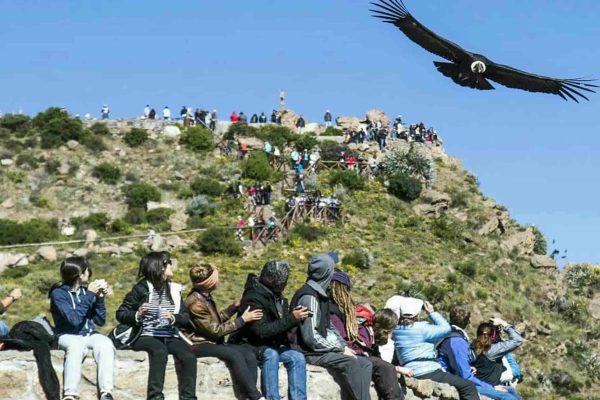 Colca Canyon Trekking 2 Days & Transfer to Puno